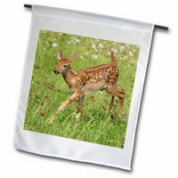 3Drose Tailed Deer Fawn in Meadow, Sandstone, Minnesota, USA Polyester 1'6 '' 1 'Garden Flag