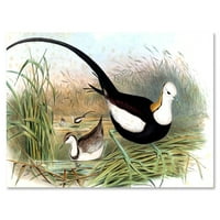 Дизайнарт 'Реколта Природа Птици В Езерото' Ферма Платно Стена Арт Принт