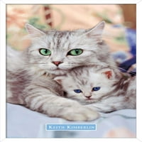 Кийт Кимбърлин - плакат за мама и котешка стена, 14.725 22.375