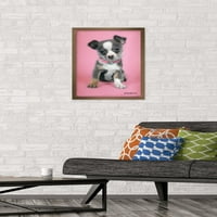 Кийт Кимбърлин - Кученце на розов фона на стена плакат, 14.725 22.375