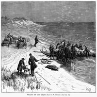 Китолов, Лонг Айлънд, 1885. Намаляване на десен кит, хванат от Саутхемптън, Лонг Айлънд, през 1885 г. Гравиране на дърва от съвременен американски вестник. Печат на плака?